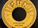 James Cotton Cotton Crop Blues