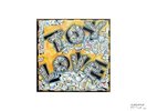 Toy Love (pre-Tall Dwarfs): Rare LP (1980).
