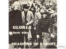 SHADOWS OF KNIGHT-RARE SWEDISH 45w/PIC SLEEVE