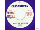CATSANOVAS : RARE PRIMITIVE TEEN GARAGE 45