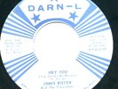 J. BOYER/CHOC. PICKLES: RARE MI GARAGE/PUNK