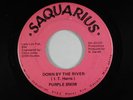 funk 45 PURPLE SNOW DOWN BY THE RIVER SAQUARIUS