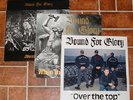 3 Bound for Glory LP records Original skrewdriver BFG