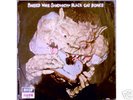 BLACK CAT BONES-Barbed wire sandwich rare LP/Decca