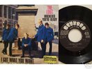 THE LOOT ( RARE German 60's Beat + PIC COVER)