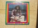 LP:Roots Radics&Agrovators, Dub