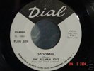 THE ALLMAN JOYS 45 ON DIAL SPOONFUL PROMO