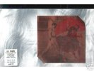U.S. US Maple Long LP mint Skin Graft No Wave O Rourke