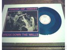 Youth of Today break down the walls LP judge