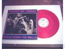 Youth of Today break down the walls LP judge