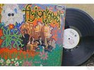 THE FLYING KARPETS(PSYCHEDELIC)  COLOMBIA L K