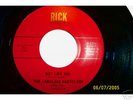 Fabulous Bachelors  great garage organ/fuzz 45