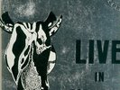 PINK FLOYD - LIVE IN ROTTERDAM ( RARE LIVE ALBUM)