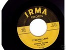 JOHNNY FULLER ..IRMA 45...RARE BLUES 
