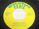  Widespread Panic 45 Coconut/Monkey Image