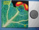 CATAPILLA - Changes ORIGINAL Vertigo SWIRL 6360074