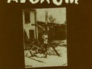 AVSKUM - Crucified by the system 7
