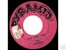 Killer 1967 garage 45 - THE TAMRONS - Pyramid - BFTG