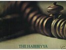 THE HABIBIYYA: IF MAN BUT KNEW psych LP Ex MIGHTY BABY