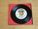 Sex Pistols - God Save the Queen - MEXICAN 7