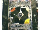 The New Blockaders/Vortex Campaign LP(Organum)