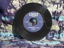 1964 ZAPPA PENGUINS MEMORIES OF EL MONTE 7