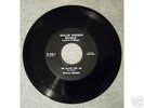 WILLIE NELSON RECORDS - LUMBERJACK -  45