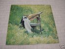 LILY/ ACID PSYCH ROCK FOLK female vo 2nd LP