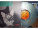 JAWBREAKER - Unfun - on CLEAR VINYL  only 200 pressed