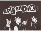 APPENDIX-LP RARE KBD FINNISH PUNK ORIGINAL 1984