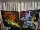 AMON DÜÜL - Psychedelic Underground *Orig.* mint=/mint-