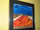 RED HOT CHILI PEPPERS signed framed vinyl cover RARE