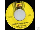 THE DRIVING STUPID. HORROR ASPARAGUS STORIES. GARAGE