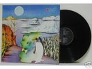 LP-MURPLE-