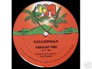 YELLOW MAN GREGORY FREE (G.P.MIX) - JOE GIBBS (JGM)12''