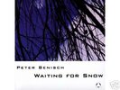 Waiting For Snow - Peter Benisch