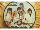 BEATLES Casualties PROMO PICTURE DISC LP Butcher Cover