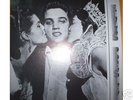 Elvis  Trouble Bound Collectors 2LP  Set