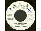 VELVET SEED 1968 MAINE FLOWERPOWER PSYCH MONSTER 45