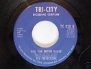 RARE DETROIT NORTHERN SOUL 45 