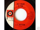 J. T. Rhythm Palmer Promo 45 Rare Northern Soul