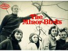 MINOR BIRDS............................(MIDAS  MFHR045)