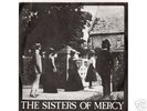 The Sisters Of Mercy-The Damage Done (VERY RARE)