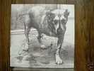 ALICE IN CHAINS SELF TITLED SINGED VINYL LP AUTOGRAPH