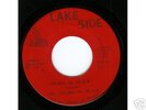 THE SOUNDS OF BLACK on Lake Side rare funk 45