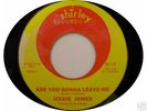 JESSIE JAMES - Rare Northern Soul 45 on SHIRLEY-119