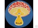 DIES IRAE - First - PILZ  MINT 