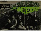 THE SEEDS- s/t RARE 1966 FUZZ GARAGE PUNK PSYCH LP MONO