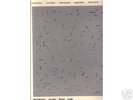 ELECTRONIC MUSIC FROM YORK/TREVOR WISHART 70s Box Set