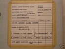 FUNKADELIC Standing on the Verge MASTER TAPE